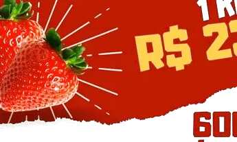 Imagem 7: Morangos, Mirtilos, Kiwi, Amora e Framboesas naturais congeladas