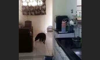 Imagem 2: Casa com 3 dorms, Parque Nossa Senhora das Graças, Piracicaba - R$ 300 mil, Cod