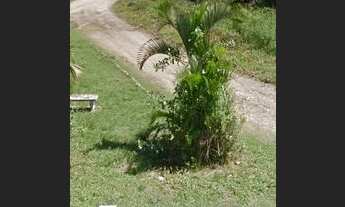 Imagem 6: Terreno em Aratuba 300m2