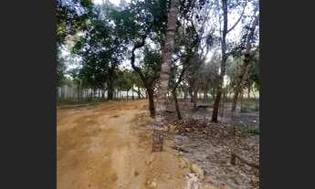 Imagem 4: Chácara Beira Lago Agrotins