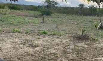 Imagem 2: Vendo sítio em Milagres