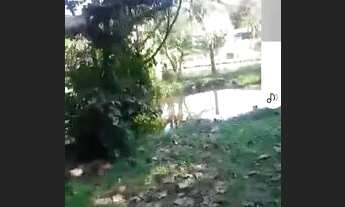 Imagem 6: Sítio Chácara com venda por R$280.000