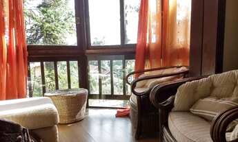 Imagem 6: GRAMADO - Padrão - Planalto