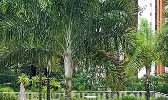 Imagem 5: Apartamento para aluguel 163m² com 3 suítes Panamby - SP