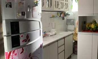 Imagem 2: VITORIA REGIA M.C