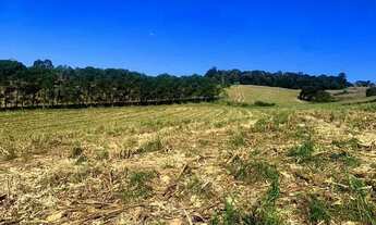 Imagem 3: Lote/Terreno para venda possui 500 metros quadrados em Centro - Atibaia - SP
