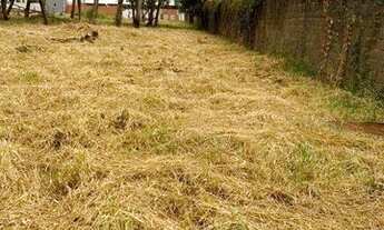 Imagem 3: Terreno para alugar, 5046 m² por R$ 16.000,00/mês - Recreio Anhangüera - Ribeirão Preto/SP