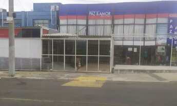 Imagem 3: GALPAO C/ EXCELENTE LOCALIZAÇÃO* ENTRE AV IPANEMA E ITAVUVU