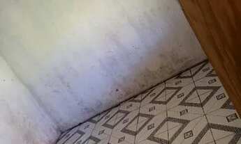 Imagem 5: Casa pra alugar Casa com 3 dormitórios