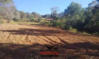 Imagem 6: Chácara com área de 19.500m² a venda em Pinhalzinho-SP cod 2310