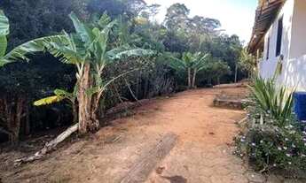 Imagem 5: Excelente Fazendinha de 12,5 hectares