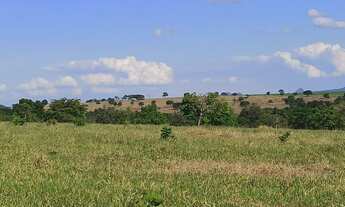 Imagem 2: Fazenda 113 alqueires plantando 50 alqueires em Ipora-GO