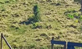 Imagem 3: Área aprox. 40.000 m2 em Vargem Alta, Nova Friburgo, RJ