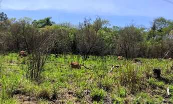 Imagem 6: Terrenos de 600m² por Apenas R$ 64.900 Garanta o Seu!