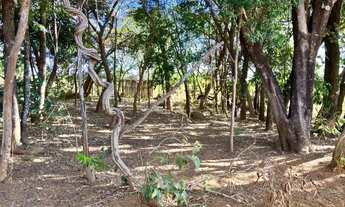 Imagem 6: Fazendinha 29 mil m² Jaboticatubas. Bem localizada, com casa e lagoa