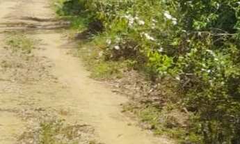 Imagem 4: Terreno Januári - 20 x 30