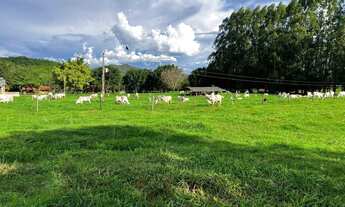 Imagem 4: Fazenda Extra 30 Alqueires!