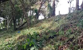 Imagem 4: Terreno de 3643.79m² no bairro Sambaqui