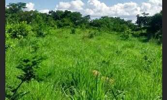 Imagem 3: Fazenda 137 há Arinos MG