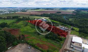 Imagem 3: Área proximidades da BR 277 - Ideal para uso comercial ou logístico - codigo: 105865