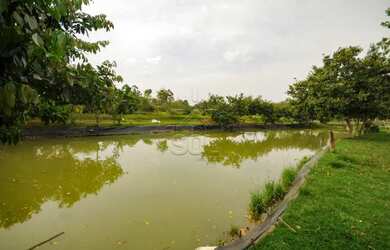 Imagem 14: Área à venda, Jardim Porto Belo - Foz do Iguaçu