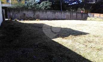Imagem 6: Terreno à venda em Jardim Avelino - SP