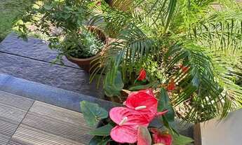 Imagem 5: Casa Semi Mobiliada- Vila Suíça