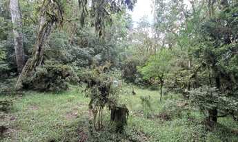 Imagem 3: Área para chácara