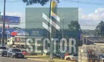 Imagem 4: Venda de Terreno no Centro - São José dos Pinhais