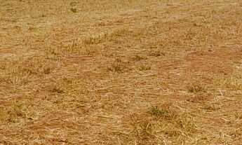 Imagem 3: Chacara no portal serra azul