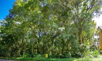 Imagem 2: GRANDE TERRENO NO BAIRRO VILA SUZANA