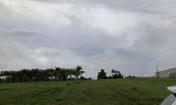 Imagem 5: Vendo terreno com 520.000,00 mil m2, na AM 010