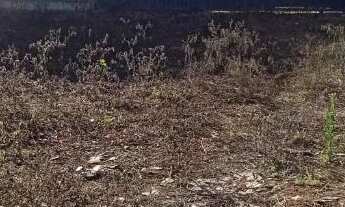 Imagem 3: Chacará Murada 900M2 Bandeirinhas/Betim