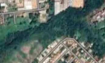 Imagem 4: LOTE PRÓXIMO CAFÉ BRASILEIRO