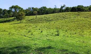 Imagem 7: Vendo terreno na Estância Climática de Cunha SP