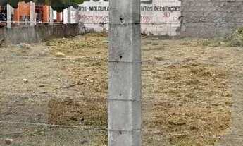 Imagem 5: Terreno à Venda de Esquina no São Brás 303m², Murado e Escriturado