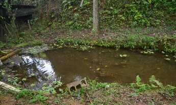 Imagem 6: Sítio em Nazaré Paulista