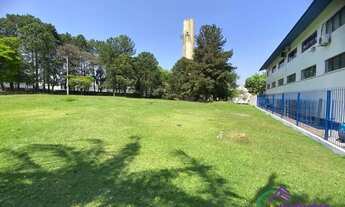 Imagem 7: TERRENO - TAMBORÉ - SP