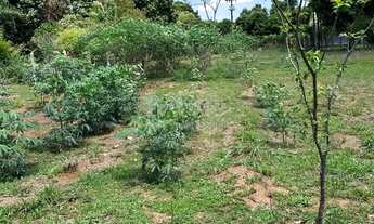 Imagem 7: Rural Chácara em São José do Rio Preto
