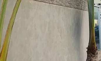 Imagem 6: Edifício Port Sant Paul, na Treze de julho. [1509