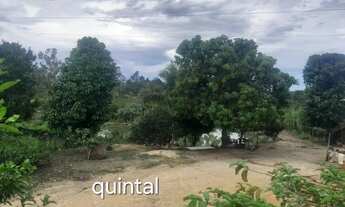 Imagem 5: Excelente Sítio com mais de 450 pés de laranja à uma Hora do Rio de Janeiro