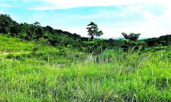 Imagem: Fazenda de 280 Tarefas - Siriri