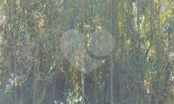 Imagem 7: Terreno à venda em Remédios - SP