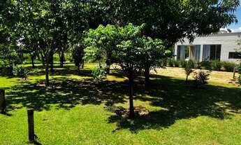 Imagem 7: Chácara Condomínio Monte Hermon Terra Santa Trindade Prox Arca Parque