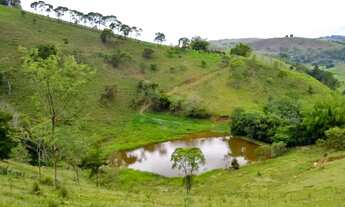 Imagem 7: Sitio a venda Ótima Oportunidade