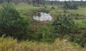 Imagem 3: Sítio Chácara com venda por R$260.000