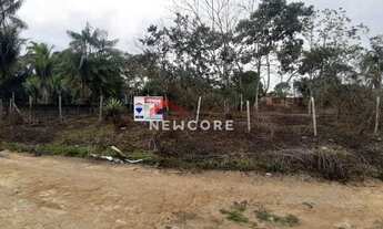 Imagem 7: Lote em - BR 174 - Manaus/AM