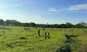 Imagem 6: Fazenda Extra em Trindade - GO