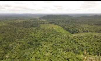 Imagem: Excelente Fazenda na Amazonas