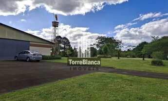 Imagem 6: Chácara à venda, em Frente à Pista Aeroclube de Balsa Nova, São Luiz do Purunã, Balsa Nova